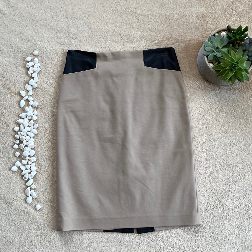 Club Monaco Skirt